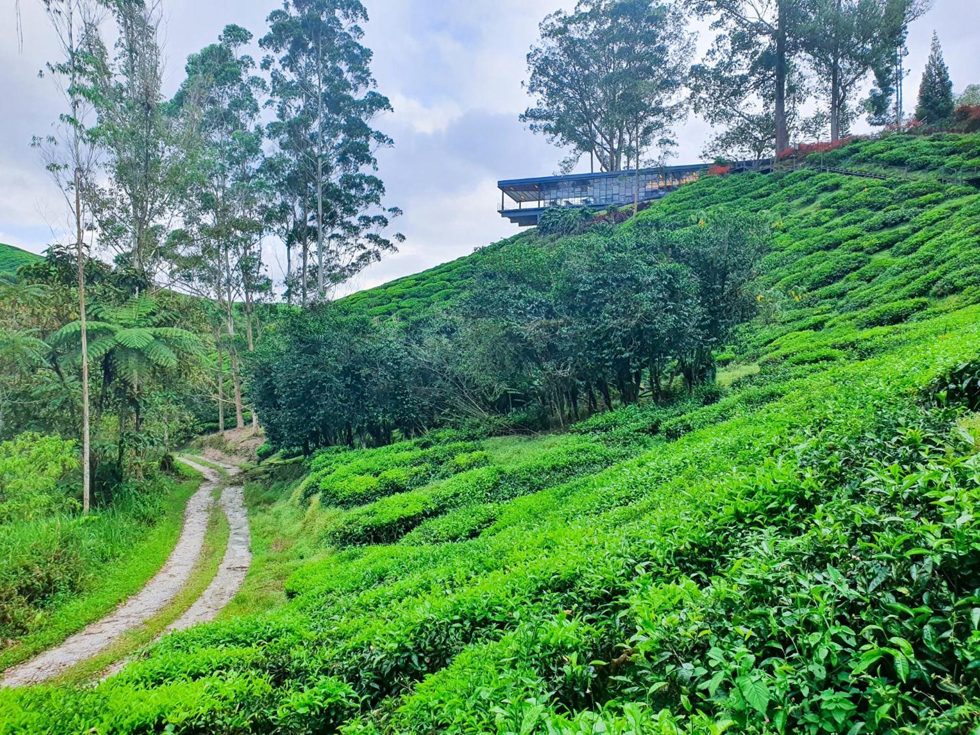 Clocktower 2 Homestay 2-7 Pax At Brinchang, مرتفعات كاميرون المظهر الخارجي الصورة